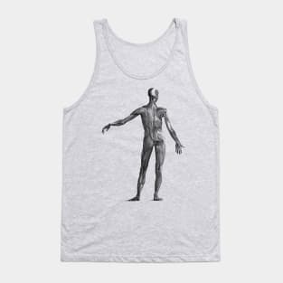 Human Muscular System - Vintage Anatomy Tank Top